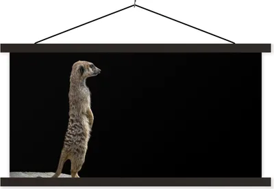 Produktbild von MuchoWow® Textilposter Erdmännchen - Wilde Tiere - Schwarz 120x60 cm mit schwarzem Rahmen - Dekoration Schlafzimmer