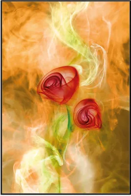 Produktbild von Wallario Wandbild Abstrakte Rosen, Größe: 61 x 91,50 cm, Poster mit schwarzem Aluminiumrahmen