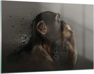 Produktbild von Bilder auf glas - Einteilig - Schimpanse Porträt Grafik - 120x80cm - Glasbilder - Wandbilder - Bilder - Wanddekoration aus Glas - Glas Bilder - Wandbild auf Glas - GAA120x80-4676