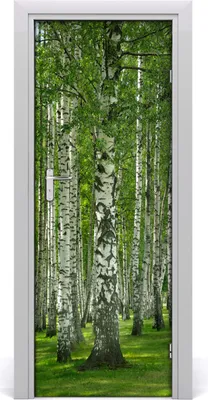 Imagen del producto de Adhesivo decorativo para pared, 75x205 cm. Adhesivo autoadhesivo, impermeable, papel tapiz removible. Ideal para dormitorios, salones y decoración del hogar. Marca: Birkenwald