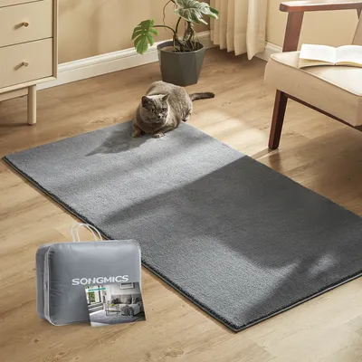 Produktbild von SONGMICS Kurzflorteppich, 80 x 150 cm, rutschfester, maschinenwaschbar, grau, Wohnzimmerteppich