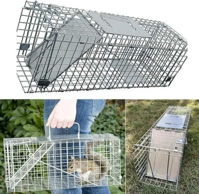 Image de Piège à chat - Piège à cage pour capture sans mise à mort - Pliable - Métal - 61 × 19 × 21 cm - Intérieur/extérieur - 2,1 kg - Argent