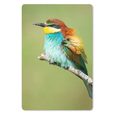 Produktbild von MuchoWow® Mauspad Mousepad Vogel - Tiere - Bienenfresser 18x27 cm - Mousepads - Maus Mat - Pad - Mausunterlage