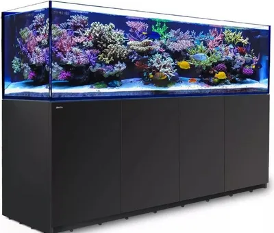 Image de Red Sea REEFER G2+ XXL 900 Kit aquarium système complet avec meuble noir