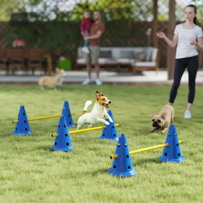 Produktbild von Hunde Agility Set 3 Hürden, Steckhürdenset höhenverstellbar, ABS Kunststoff, Blau | 80 x 22,5 x 30 cm | 1,5 kg | mit Oxford-Tragetasche