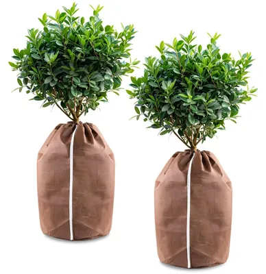 Zdjęcie produktu dla Pokrowiec ochronny na rośliny na zimę i mróz