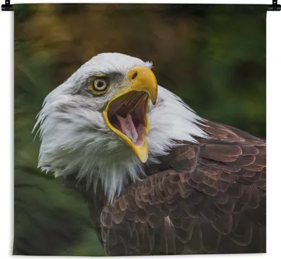 Produktbild von MuchoWow® Wandteppich Wandbehang Ein krächzender Weißkopfseeadler 120x120 cm Tapisserie Dekoration Wandtuch - Modern - Baumwollgewebe