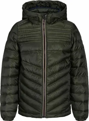 Image de Veste Jack&Jones 49968104341843 pour Homme