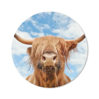 Produktbild von MuchoWow® Mauspad Mousepad Schottischer Highlander - Wolke - Tiere 20x20 cm - Mousepads - Maus Mat - Pad - Mausunterlage - Schreibtischmatte