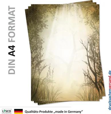 Produktbild von Motiv Briefpapier (Natur-5119, DIN A4, 25 Blatt) Wald Sonne Sonnenstrahlen Lichtung Motivpapier