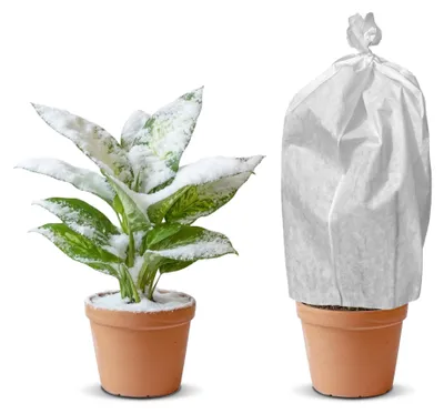 Imagen del producto de Elzusha - Cubierta protectora para plantas, 1,4 m x 10 m. Ideal para proteger las plantas en invierno