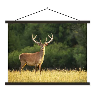 Produktbild von MuchoWow® Textilposter Hirsch - Geweih - Gras - Natur - Tiere - Grün 150x113 cm mit holzfarbenen Rahmen - Poster
