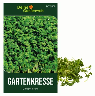 Produktbild von Gartenkresse Einfache Grüne Samen - Lepidium sativum - Gartenkressesamen - Kräutersamen - Saatgut für 1.000 Pflanzen