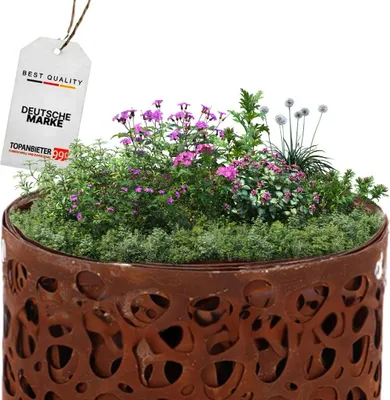 A close-up of a decorative planter filled with various plants and flowers, with a price tag hanging from the top left.