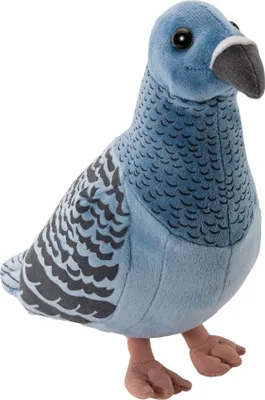 A plush toy pigeon is shown against a white background.