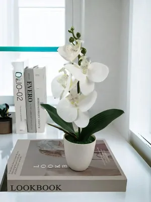 Künstliche Topfpflanze 31 cm – Plastikblume für Tischdekoration