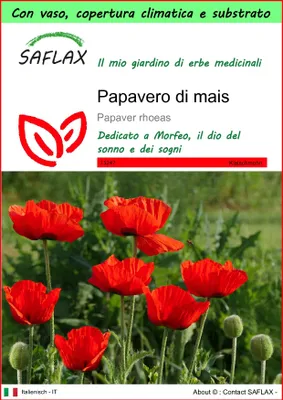 Immagine prodotto di SAFLAX Garden to go - Papavero di mais - 27000 semi - Papaver