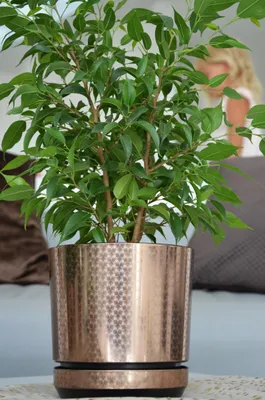 Produktbild von Kerd Dekor Pflanzgefäß 16 cm Braun Art déco Hochglanz