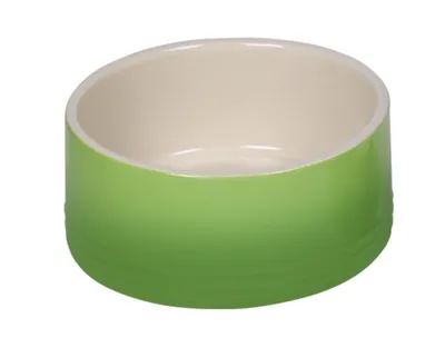 Immagine prodotto di Ciotola in Vetroceramica Nobby Gradient verde, dimensioni: 18 x 7 cm