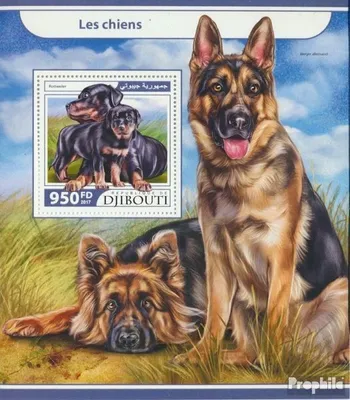Produktbild von Briefmarken Dschibuti 2017 Mi Block 794 (kompl. Ausg.) postfrisch Hunde