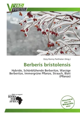 Produktbild von Berberis bristolensis