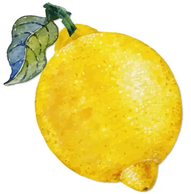 Produktbild von 200 Zitronen Deko Sticker selbstklebend gelb grün zum Beschriften 5 cm