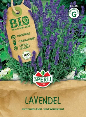 Produktbild von SPERLI Saatgut Lavendel Lavandula angustifolia 80 Pflanzen