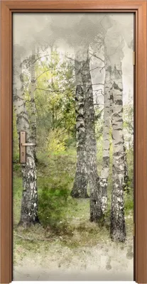 Produktbild von Türposter 90x200 cm Türaufkleber Türtapete Türfolie Klebefolie Foto Birkenhain Aquarell Wald