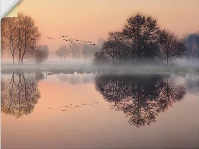 Produktbild von ARTland Wandbild, selbstklebend Früh morgens am See.... Größe: 40x30 cm