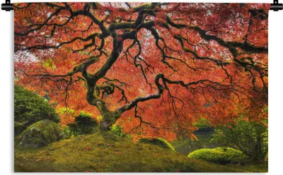 Produktbild von MuchoWow® Wandteppich Wandbehang Japanischer Ahorn im Park 150x100 cm Tapisserie Dekoration Wandtuch - Waschbar - Tapisserien - Wand-Decke