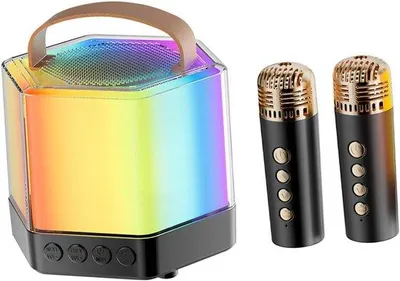 Produktbild von Mini draagbare Karaoke-Microfoon-Set für Feierlichkeiten und Geburtstage