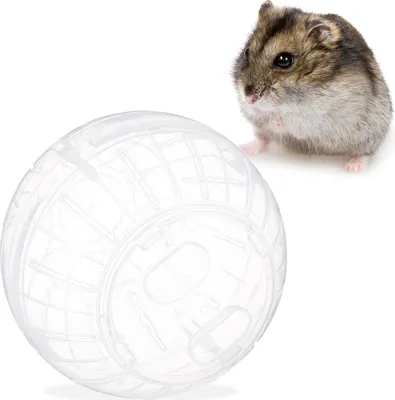 Produktbild von relaxdays Hamsterball transparentné