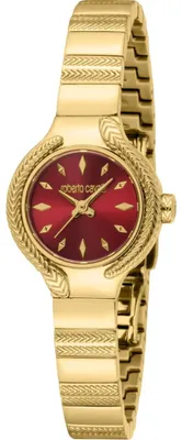 Image de Roberto Cavalli Montres MP246001