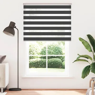 Obrázek produktu pro vidaXL Dvojitá roleta Černá 145x230 cm Šířka látky 140,9 cm Polyester