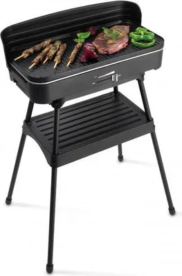 Image de FRITEL BBQ 2246 Barbecue électrique et grill de table
