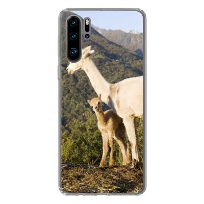 Produktbild von MuchoWow® Handyhülle Schutzhülle Hülle für Huawei P30 Pro Alpakas - Berge - Natur Silikon Softcase Handy Hülle - Schutzdeckel