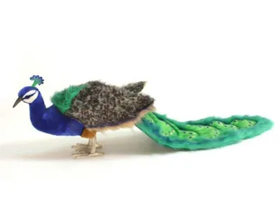 Produktbild von Hansa Plüschtier Pfau 100 cm