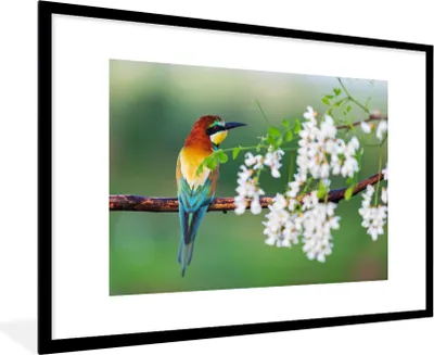 Produktbild von MuchoWow® Gerahmtes Poster Vogel - Bienenfresser - Blumen 90x60 cm - Poster mit Schwarzem Bilderrahmen Wandposter Rahmen Foto Bilder - Wanddekoration - Fotos