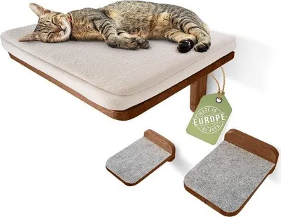 Produktbild von Famanu Katzenwand mit 2 Katzenleitern - modern, Holz