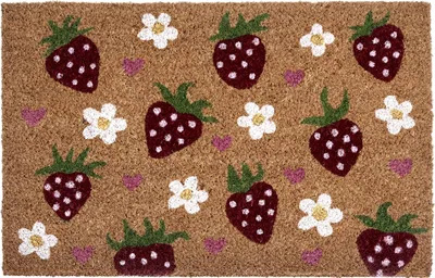 Obrázek produktu pro BELIANI Rohožka vícebarevná kokosové vlákno s gumovým spodkem 50 x 80 cm dekorace s motivem jahod vítací rohožka