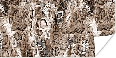 Produktbild von MuchoWow® Poster Tiermuster - Braun - Schuppen 80x40 cm - Wanddeko