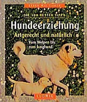 Produktbild von Hundeerziehung