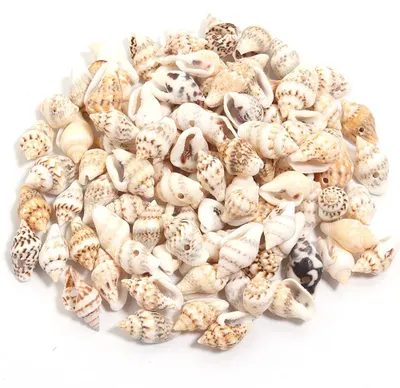 Produktbild von Muschelschalen-Perlen - Lose Perlen für Schmuckherstellung - Kreuzgebohrt - Naturstein - 32–35 g - Größe S