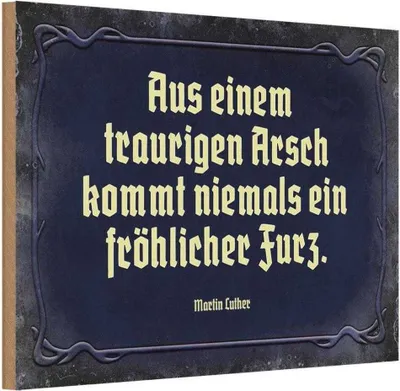 Produktbild von vianmo Holzschild 20x30 cm aus einem traurigen Arsch kommt