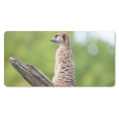 Produktbild von MuchoWow® Mauspad Mousepad Erdmännchen - Ast - Baum 60x30 cm - Mousepads - Maus Mat - Pad - Mausunterlage - Nachhaltig