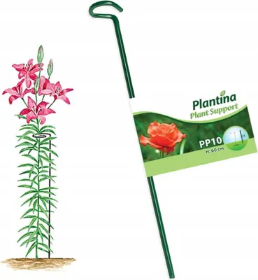 Produktbild von Pflanzenständer 60 cm Stahl, grün pulverbeschichtet, stabil