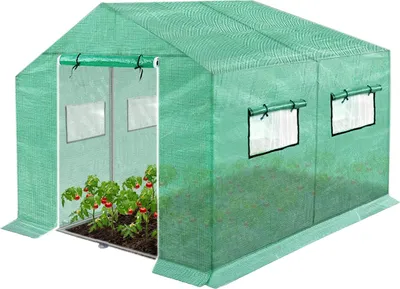 A green greenhouse with tomato plants inside, shown on a white background.