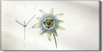 Produktbild von Leinwand Wanduhr Wandkunst Uhr 60x30 Zeichnung Florale Blumen Pflanzen Kunst - weiße Hände