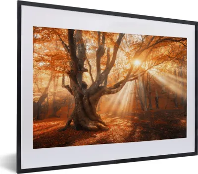 Produktbild von MuchoWow® Gerahmtes Poster Baum - Natur - Herbst 40x30 cm - Poster mit Schwarzem Bilderrahmen Wandposter Rahmen Foto Bilder - Bilderrahmen - Poster im Rahmen