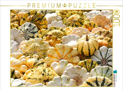 Zdjęcie produktu dla CALVENDO Puzzle z motywem dyni ozdobnej | 1000 elementów. Rozmiar układanki: 64 x 48 cm. Puzzle z motywem fotograficznym, idealne na chwile relaksu